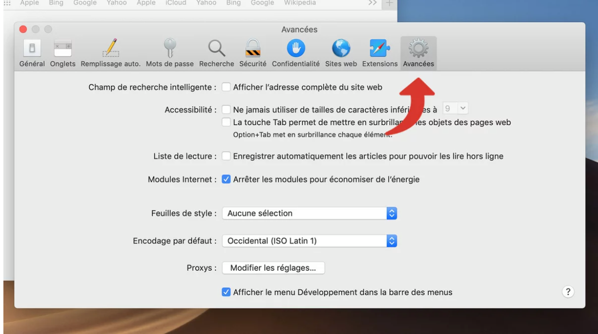 Safari vider cache