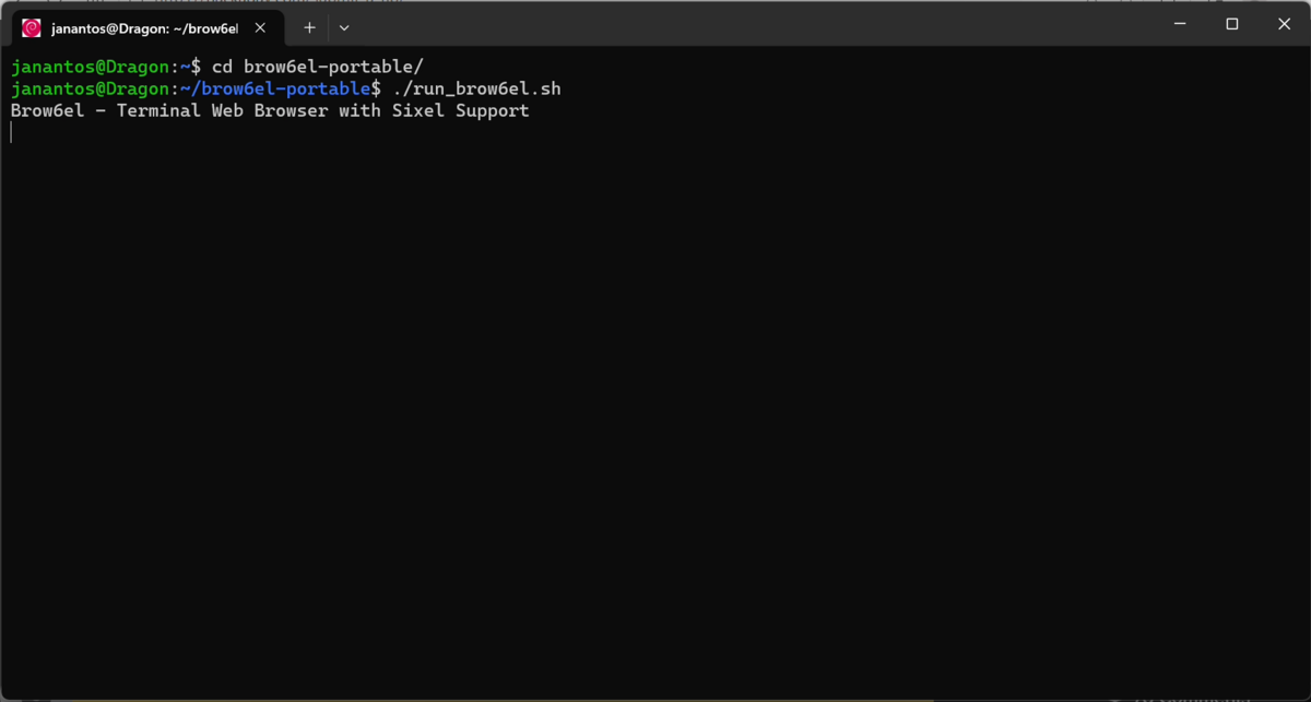 Le futur du Web ne s'écrit peut-être pas en 4K, mais en vert sur noir pour ceux qui osent encore regarder la matrice en face. © Jan Antos