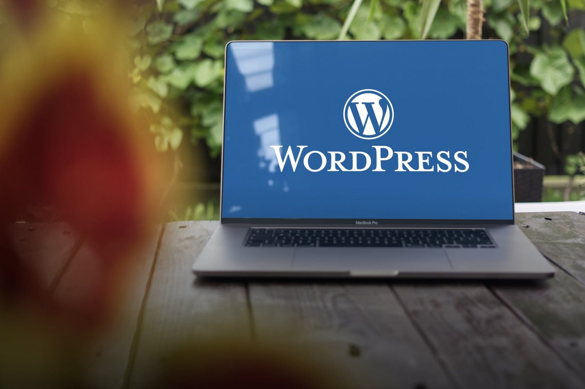 Une belle faille de sécurité touche plusieurs sites WordPress, et ça concerne les modules d'e-learning. © Shutterstock