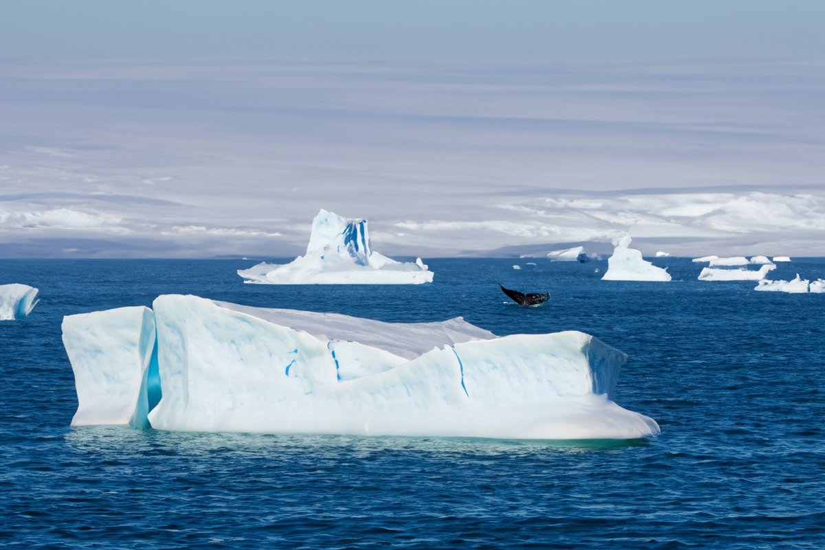 Glaciers © Bogdan Vacarciuc / Shutterstock