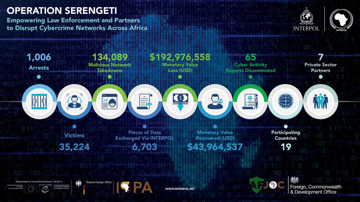 Les résultats de l'opération Serengeti © Interpol