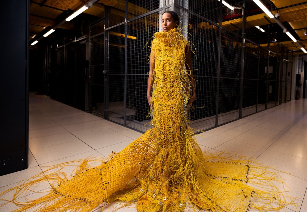  Ne cherchez pas à acheter cette robe, elle n'est pas à vendre © Equinix