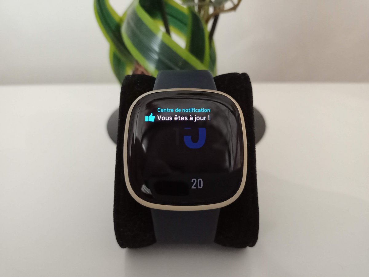 Versa 3 - Notifications