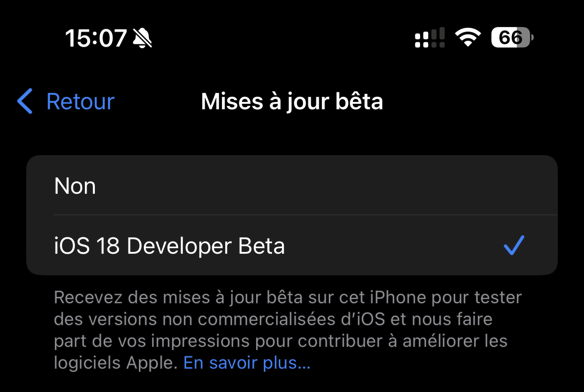 Une fois le compte développeur activé, l'option apparait dans le menu de mise à jour d'iOS. © Colin Golberg