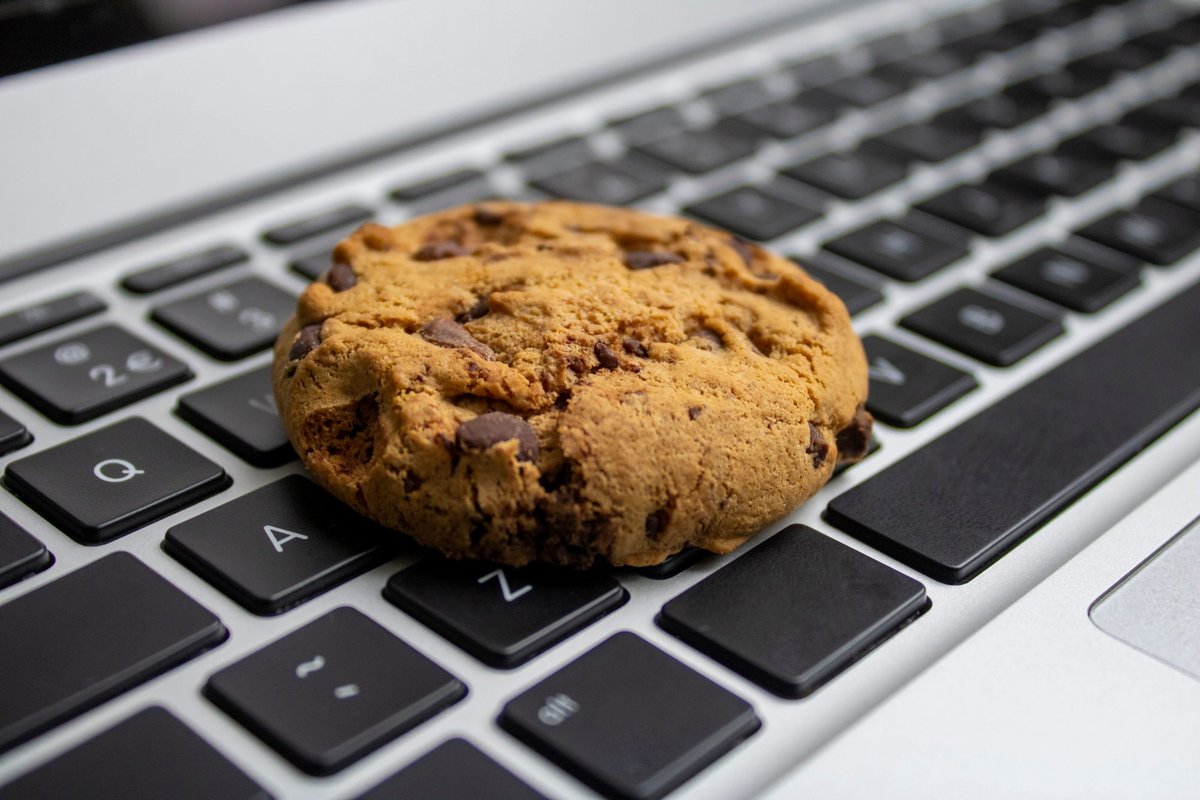 Ne cédez pas trop vite à la gourmandise sur le Web © Rutmer Visser / Shutterstock