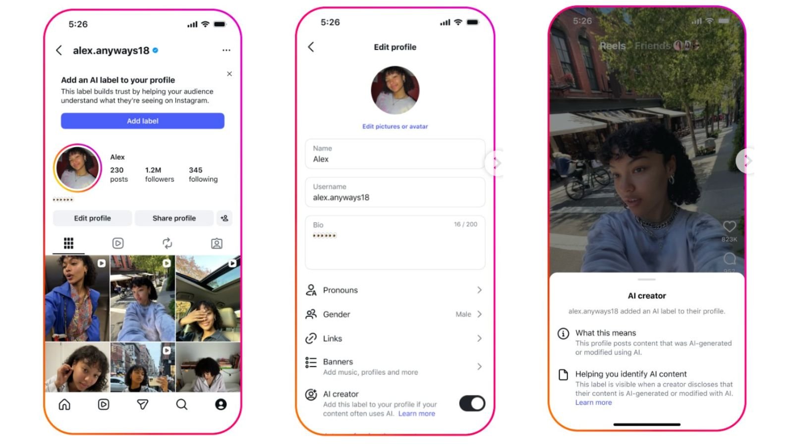 Une option à activer dans les paramètres de profil Instagram. ©Meta