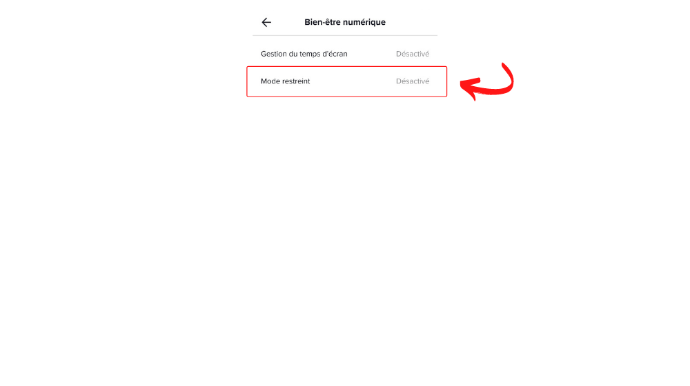TikTok Restreint1