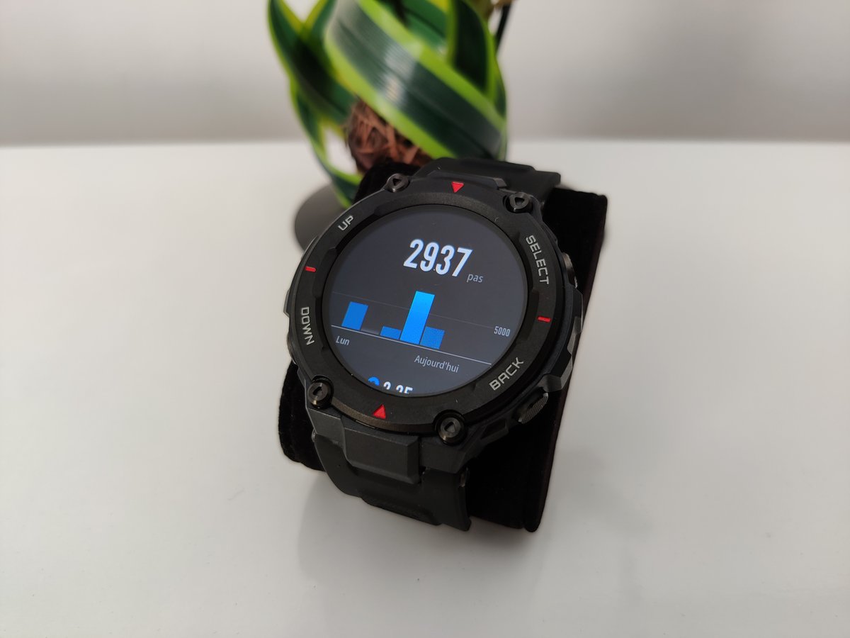 Amazfit T-Rex - Cadran pas