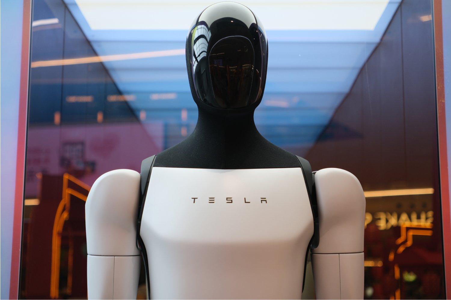 Le robot Optimus de Tesla. ©Robert Way / Shutterstock