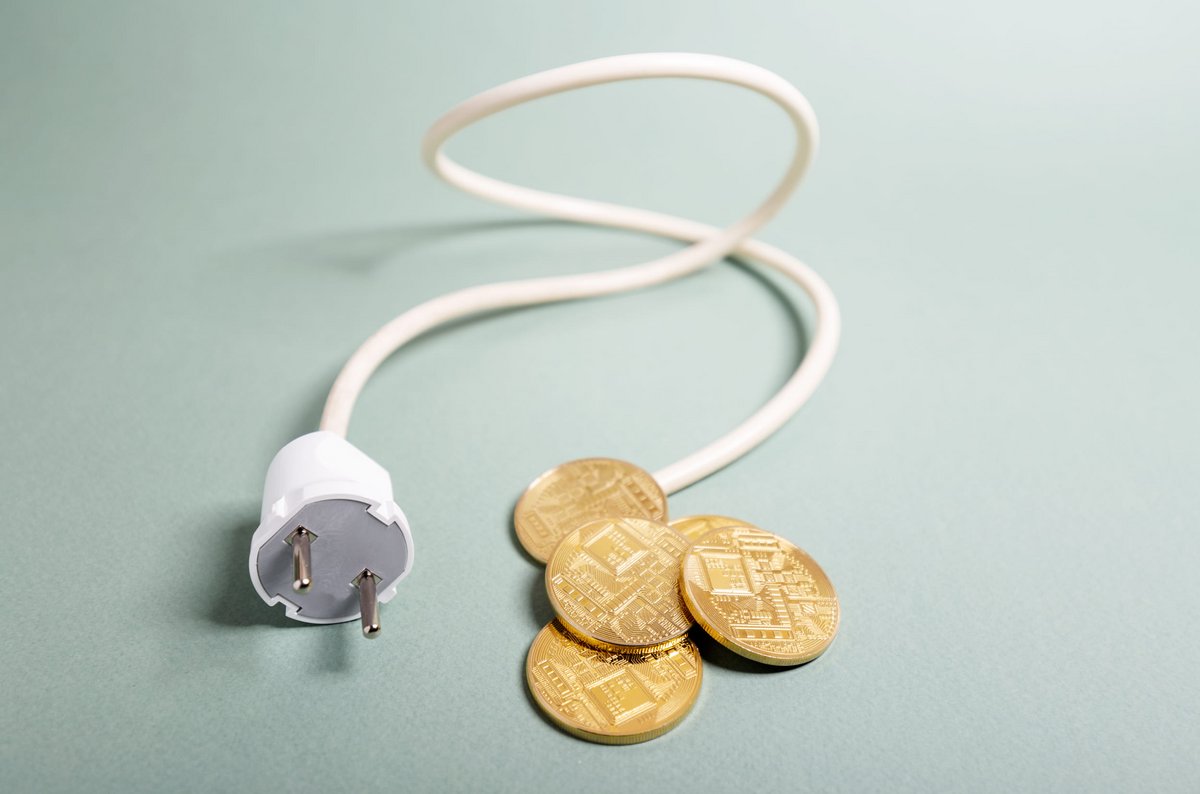 Un homme qui cachait 88 machines de minage dans un entrepôt et volait l'électricité depuis des mois a été arrêté. © Andre Boukreev / ShutterstockAndre Boukreev