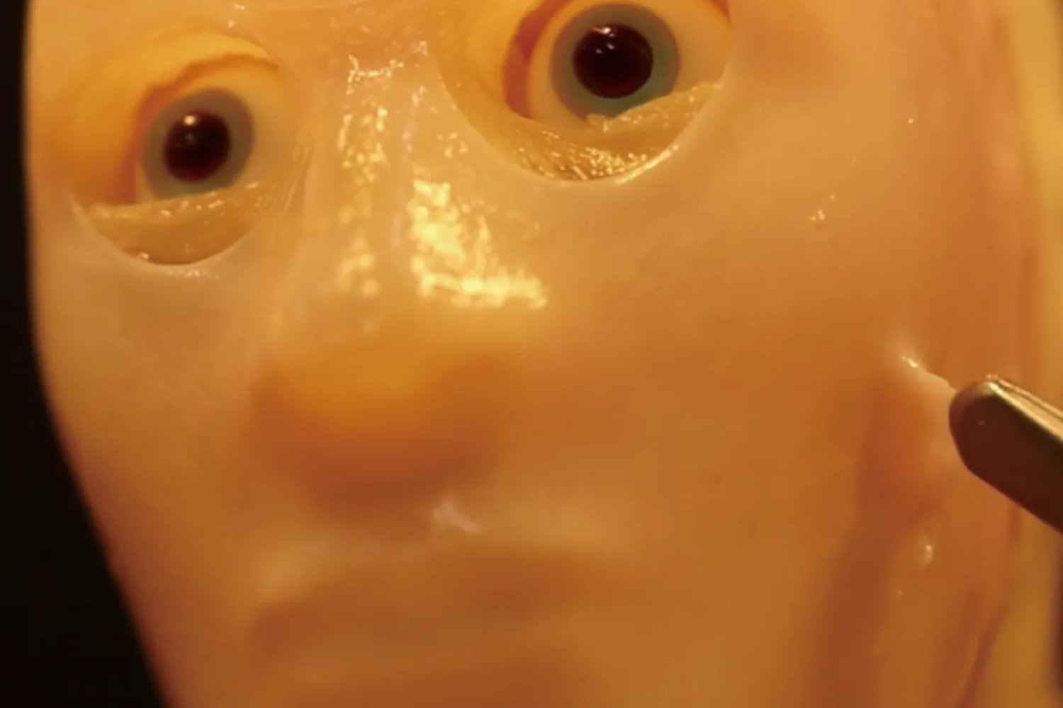 La peau artificielle a été créée en laboratoire. © Takeuchi et al via the University of Tokyo