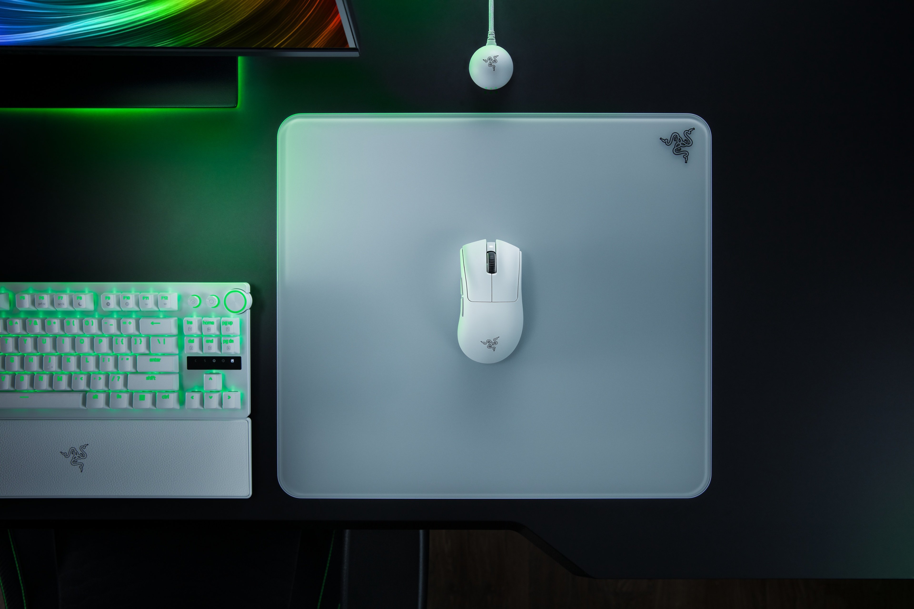 La souris DeathAdder V4 Pro et son émetteur/récepteur sans fil. ©Razer