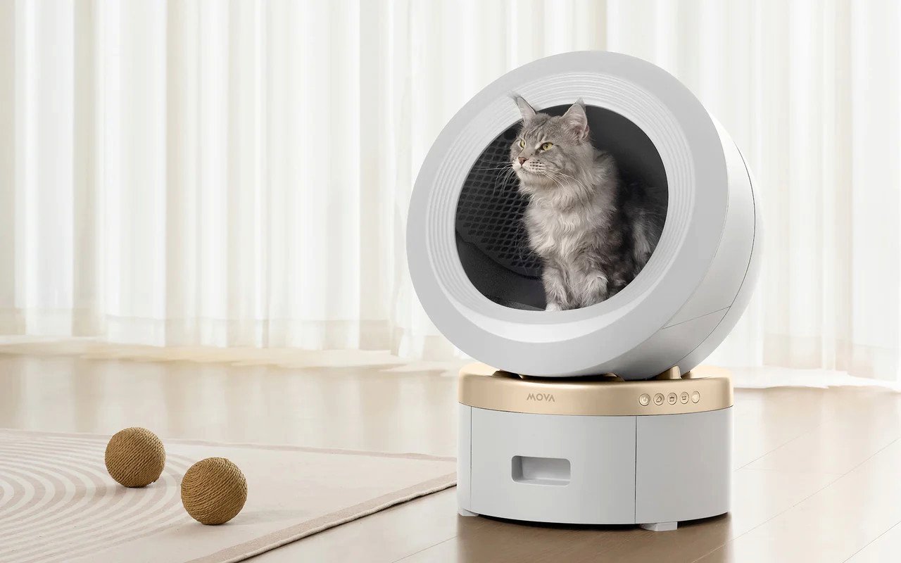 Ce minou trône fièrement dans sa litière autonettoyante Mova Meowgic Pod LR10 Prime. ©Mova