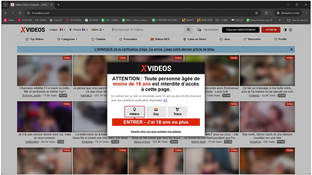 Avec un VPN activé, XVideos redevient accessible sans les restrictions françaises - © Clubic