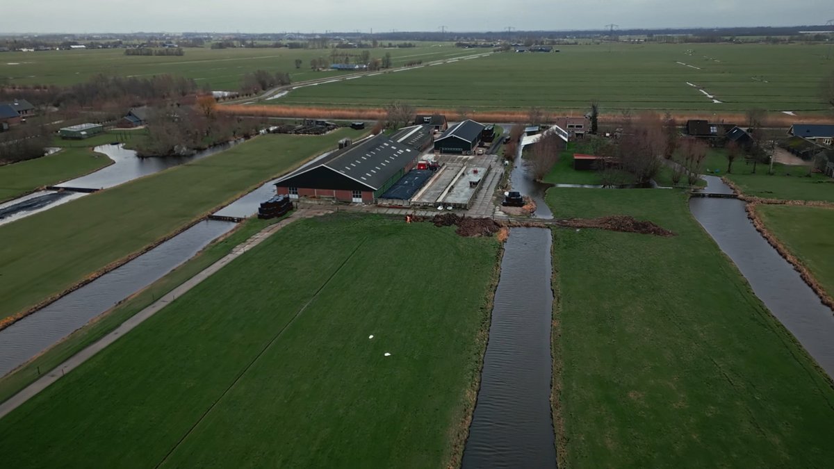Phagos travaille avec des vétérinaires, sur différents animaux. © Phagos