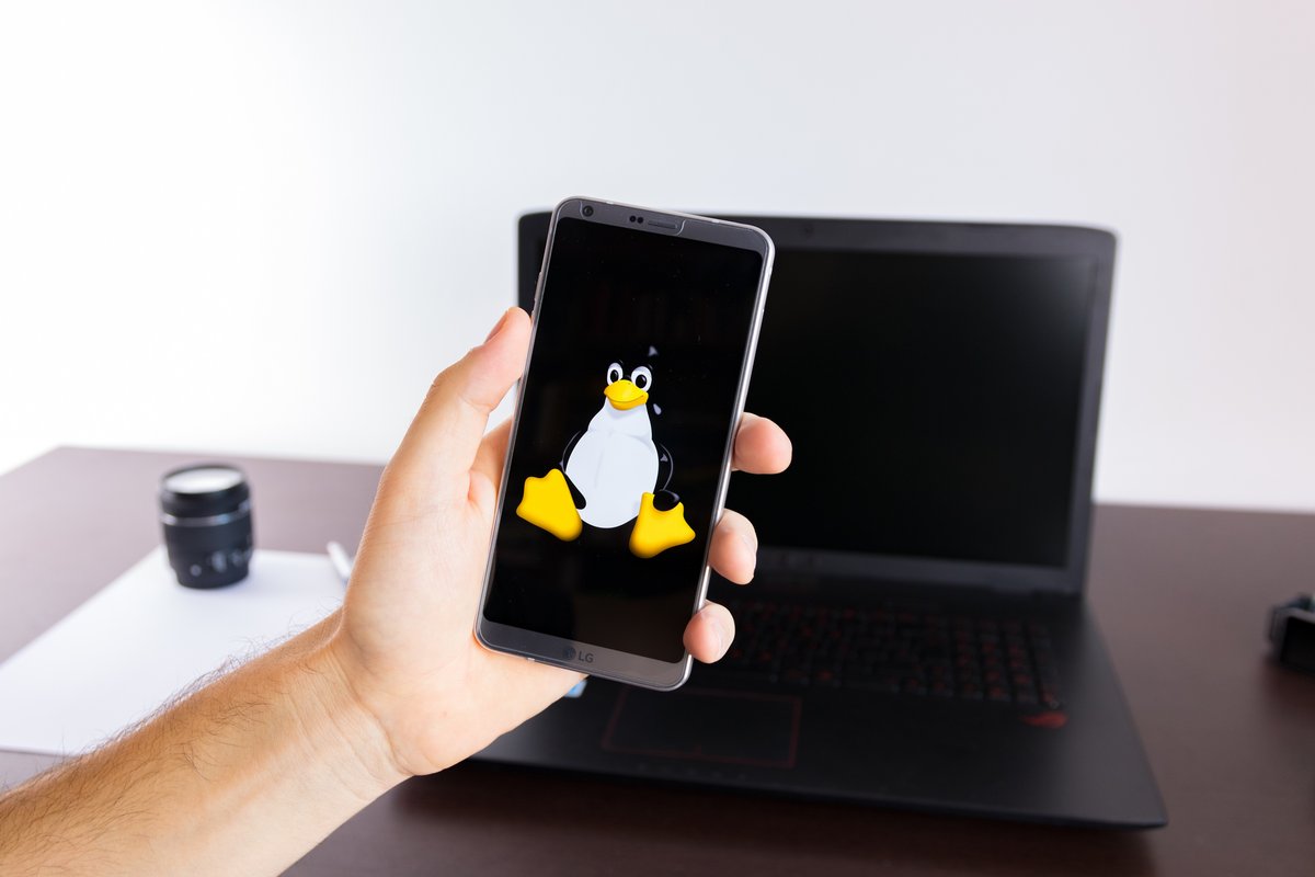 Linux est réputé pour sa flexibilité et sa capacité à s'adapter à une grande variété de matériels, y compris les anciens processeurs. © Shutterstock