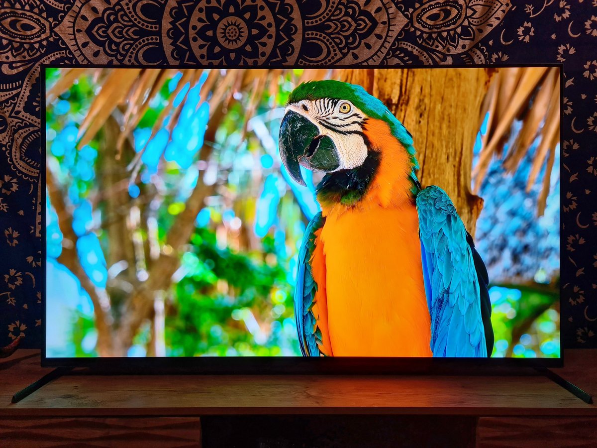 Test Sony Bravia XR A83K