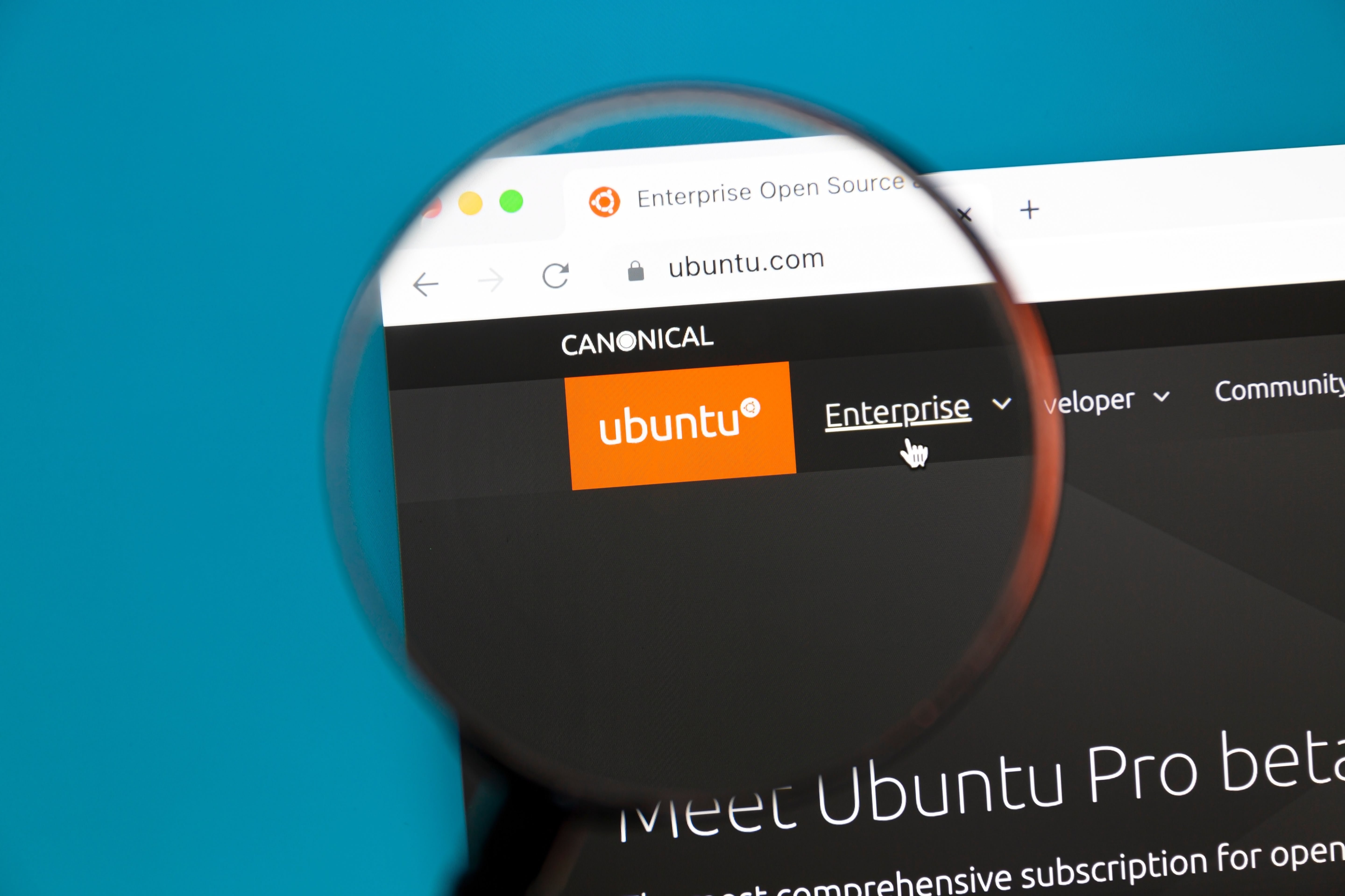 Ubuntu © Shutterstock