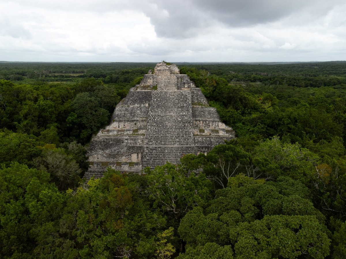 Une ancienne pyramide maya en ruine, dans la jungle profonde © Jonas Gruhlke