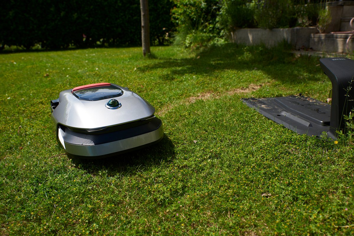 Nos tests de robot se déroulent en situation réelle, avec du vrai gazon qui doit pousser ! ©  Marc Beekenkamp pour Clubic