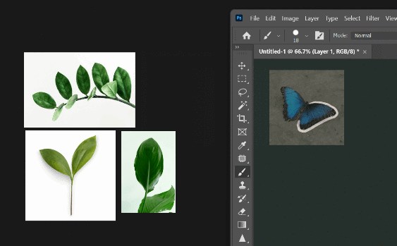PureRef cible les créatifs et étudiants visuels en offrant un outil léger et intuitif pour garder des références visuelles accessibles en permanence - © PureRef