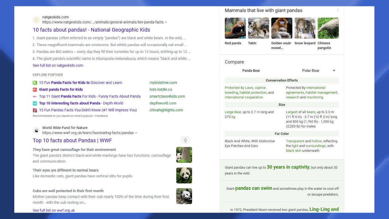 Dans cet exemple, Bing a généré une légende pour le deuxième résultat de recherche seulement © Capture d'écran Future