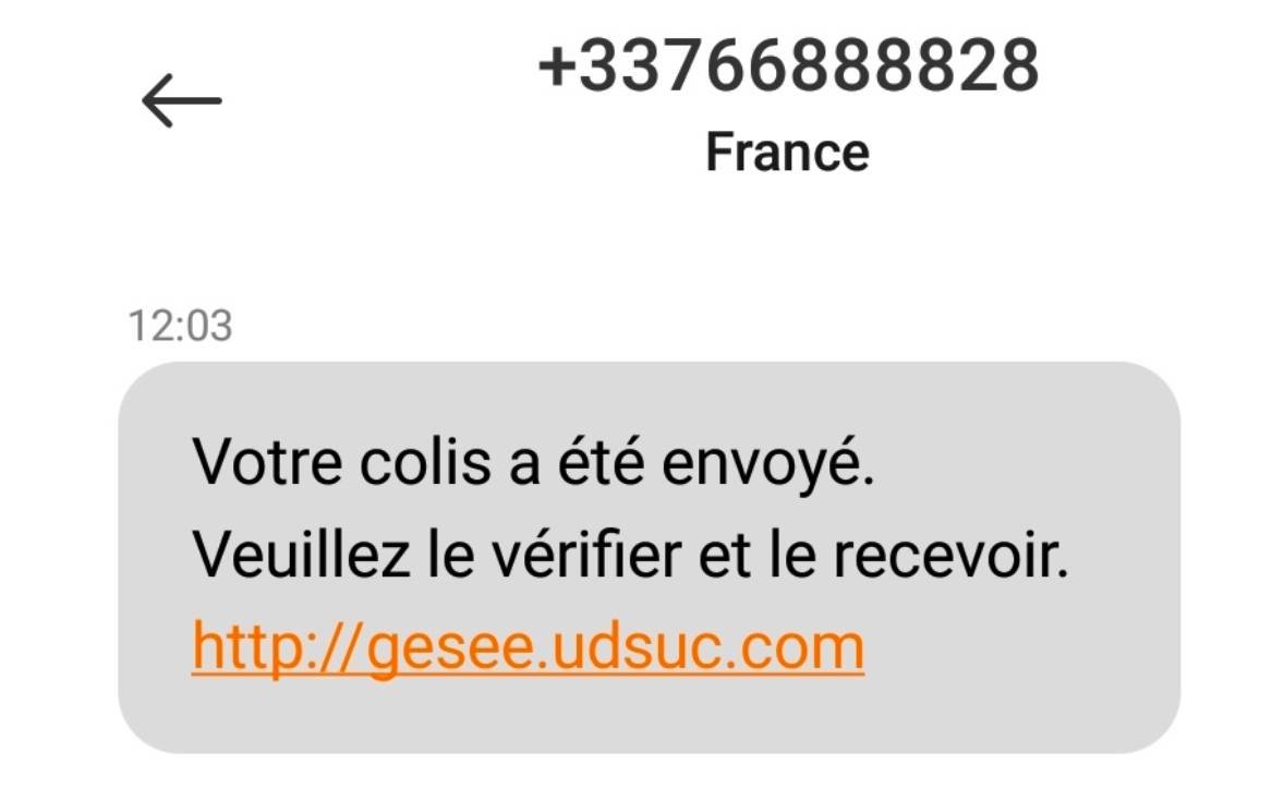 Exemple du message envoyé par les hackers © Sekoia