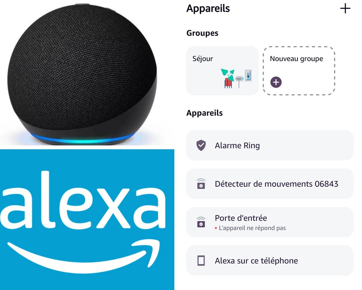 L'alarme de Ring peut fonctionner de concert avec Alexa © Amazon / Alexa