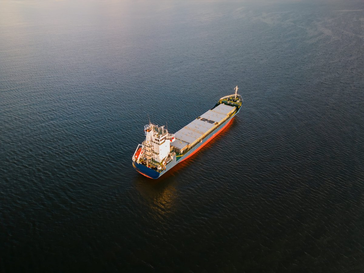 Un navire chinois est soupçonné d'avoir détérioré deux câbles sous-marins © Dmitri T / Shutterstock