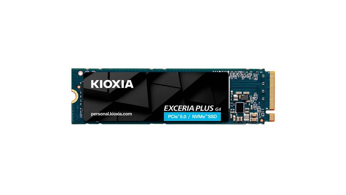 Kioxia Exceria Plus G4 2 To
