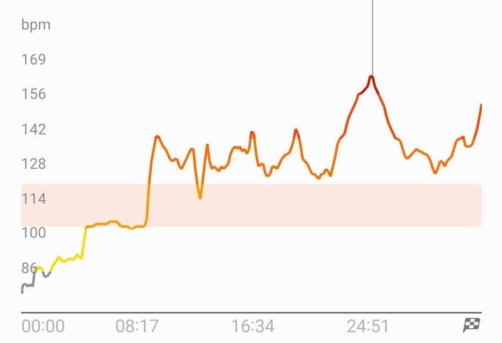 Courbe cardio de la Galaxy Watch 6. Notez les imprécisions durant les 15 premières minutes d'activité © Johan Gautreau pour Clubic