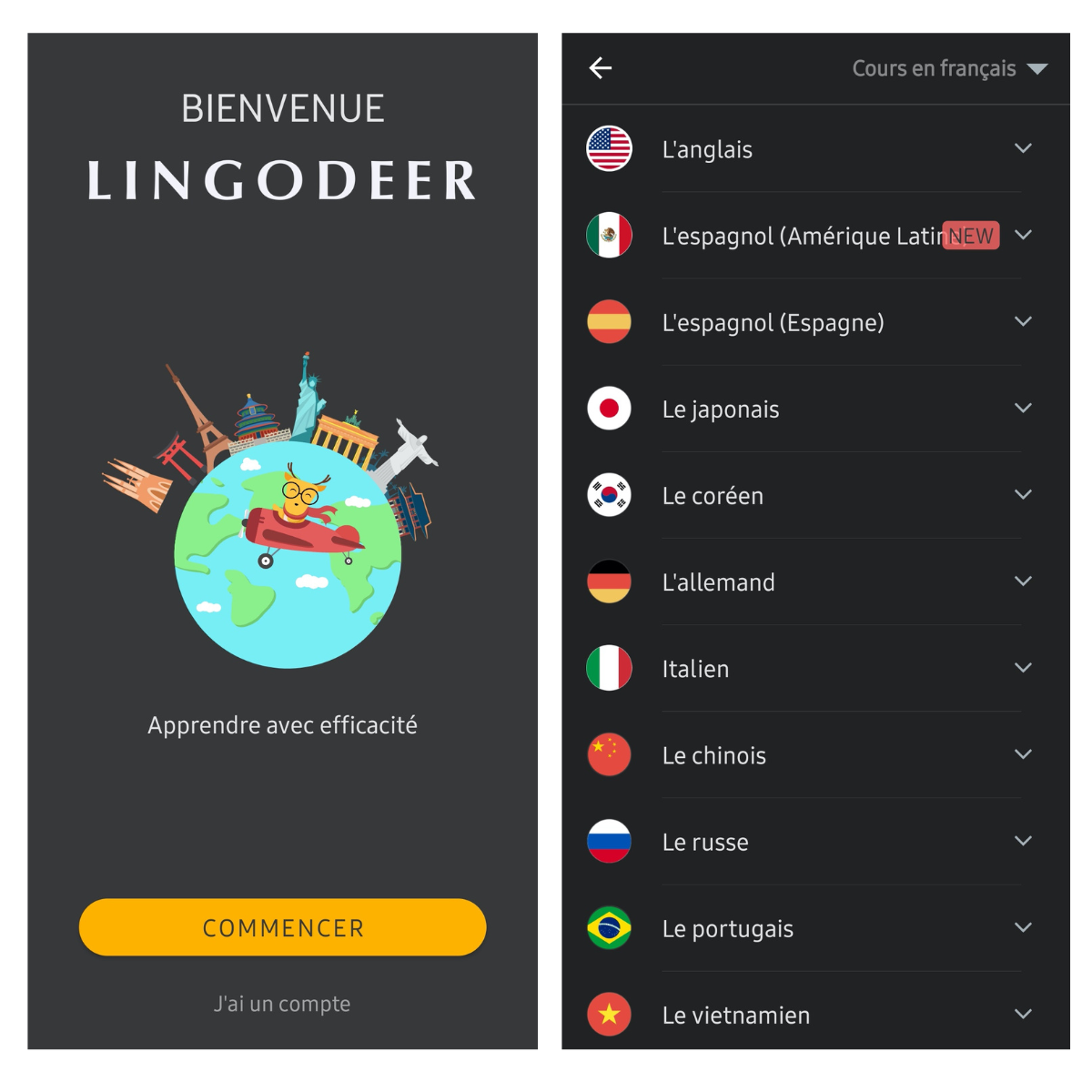 Lingodeer 1