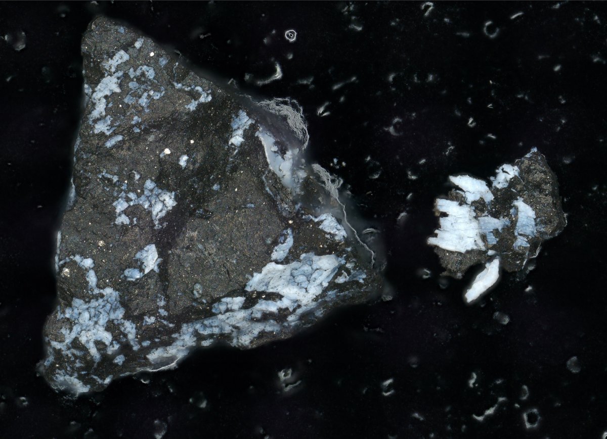 Des grains de matière rapportés lors de la récolte de l'astéroïde Bennu © Lauretta & Connolly et al. (2024)