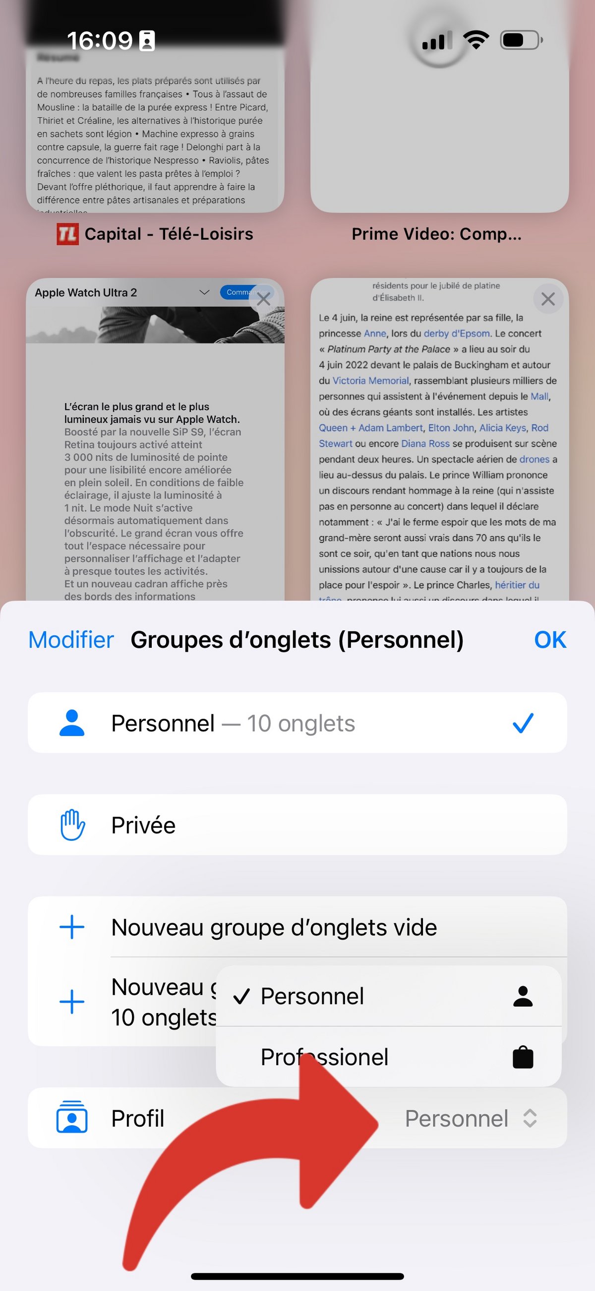 iOS 17 Safari Profil