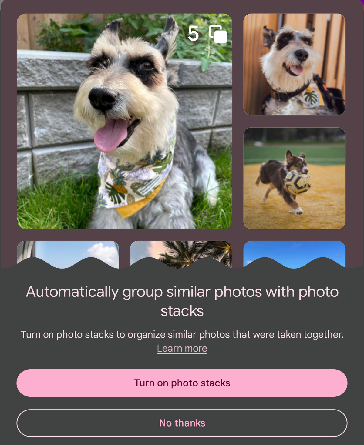 L'interface de l'option « Stack » dans Google Photos © alexandriaofwar / Reddit