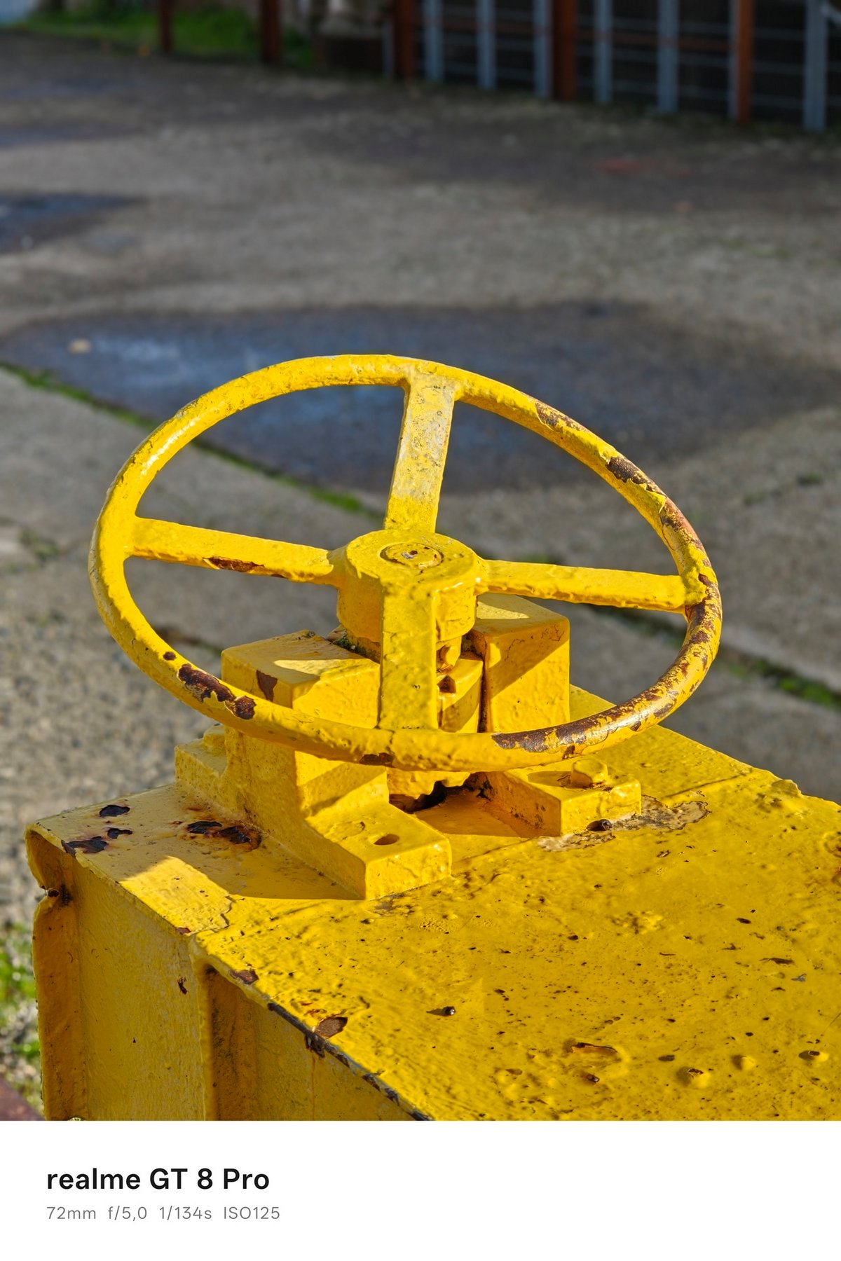 realme gt 8 pro portrait