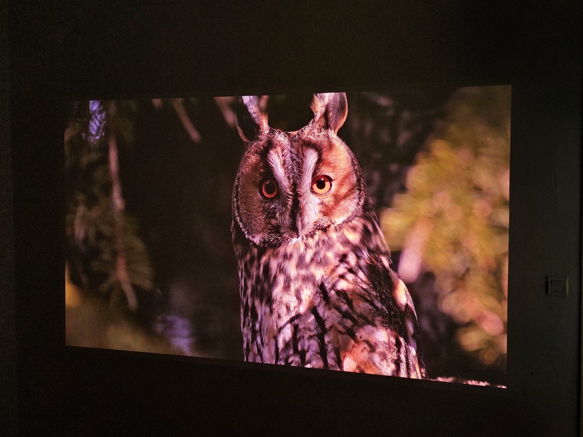 Projection sur un mur blanc... 