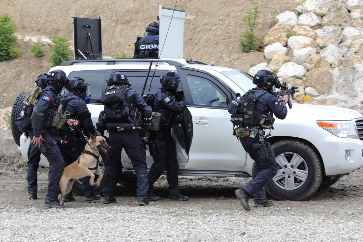 Le GIGN a sauvé le cofondateur de Ledger © Wiki Commons