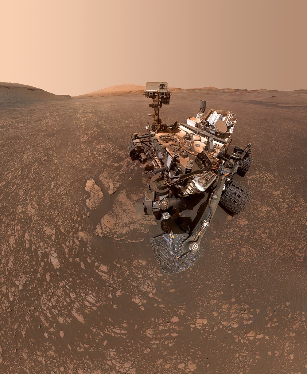 Curiosity selfie 2019