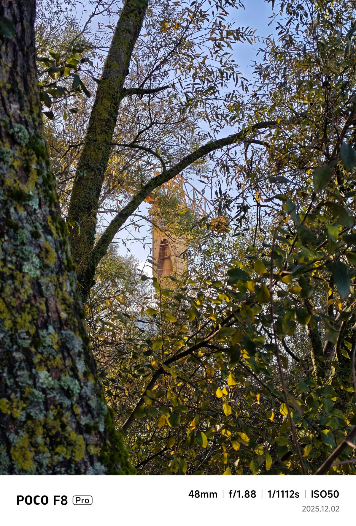 Observez la différence de colorimétrie entre le zoom numérique 2x et optique 2,5.