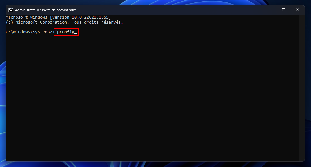 Windows 11 - ipconfig