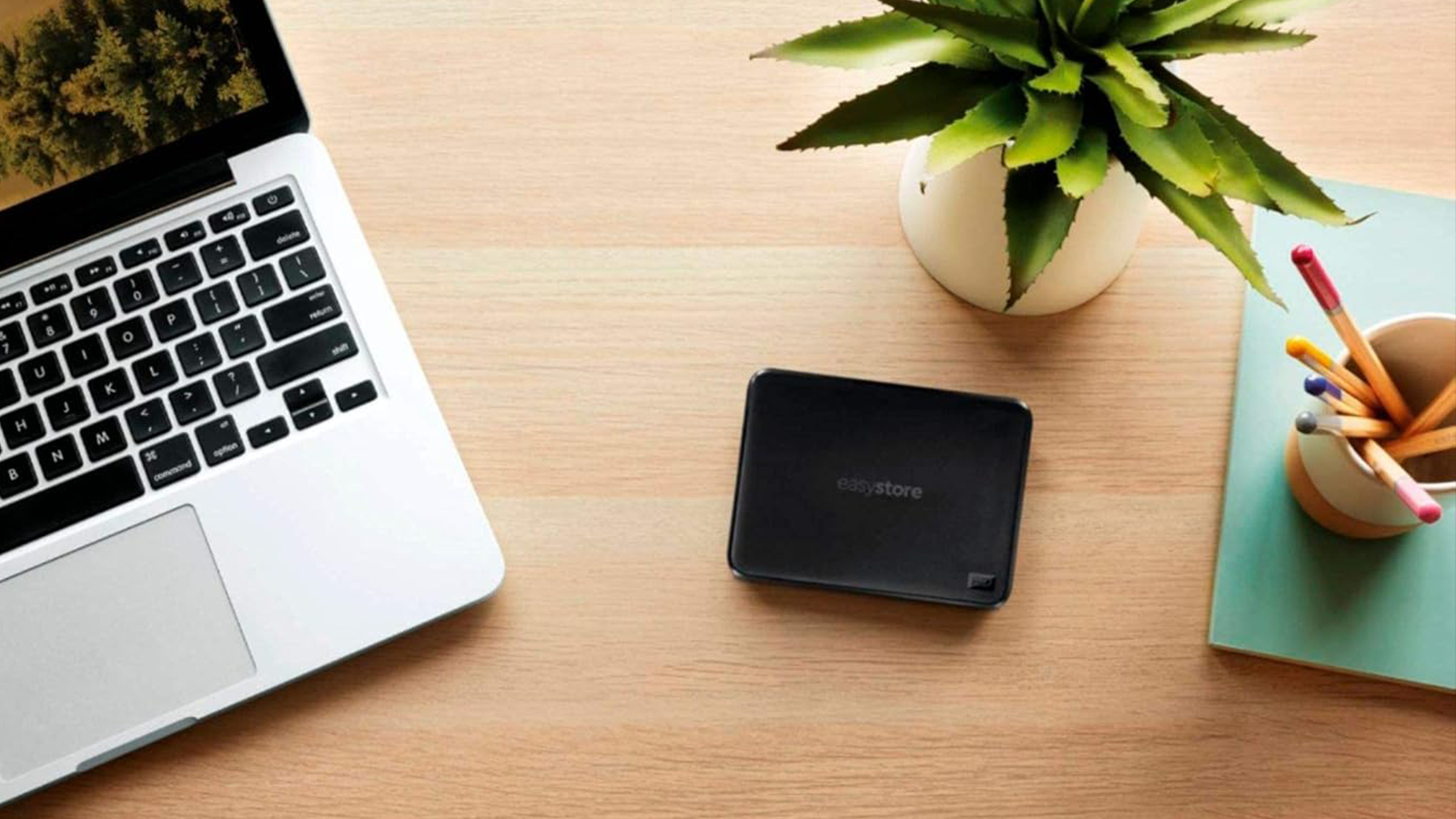 bon plan WD SSD portable