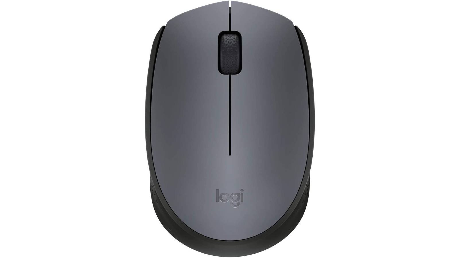 souris Logitech M170