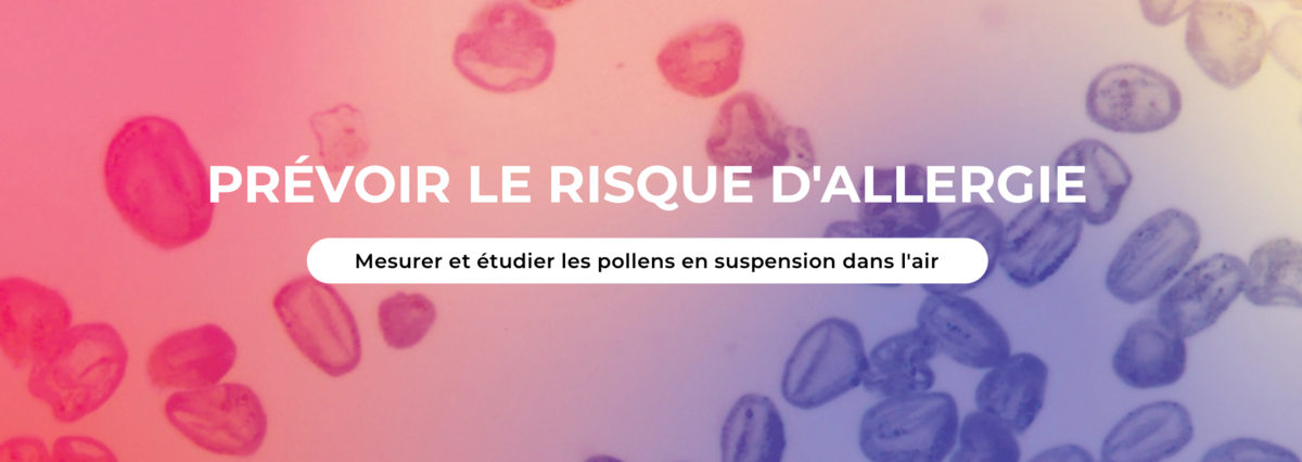 France Pollens screen 1
