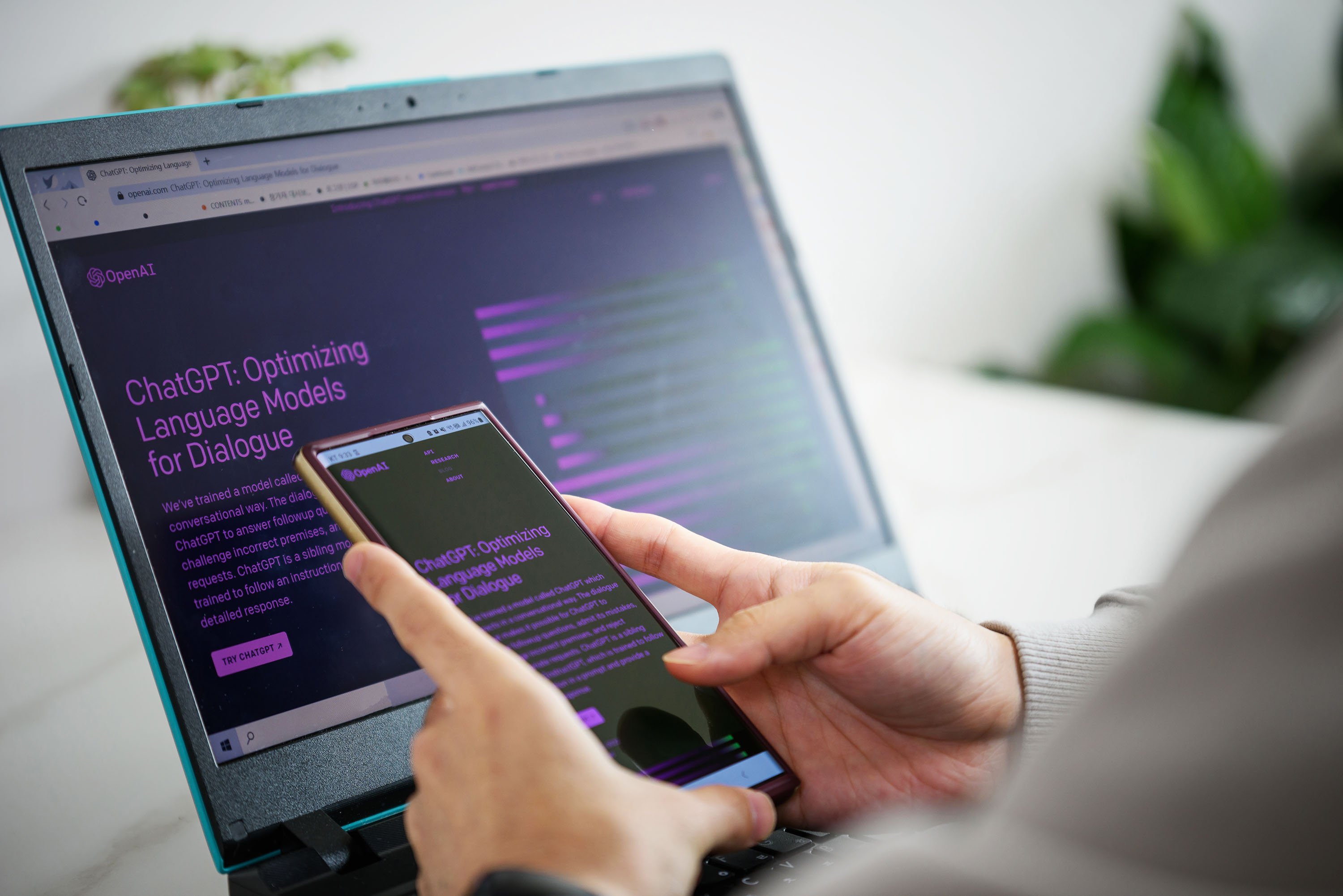 © Heropoto / Shutterstock