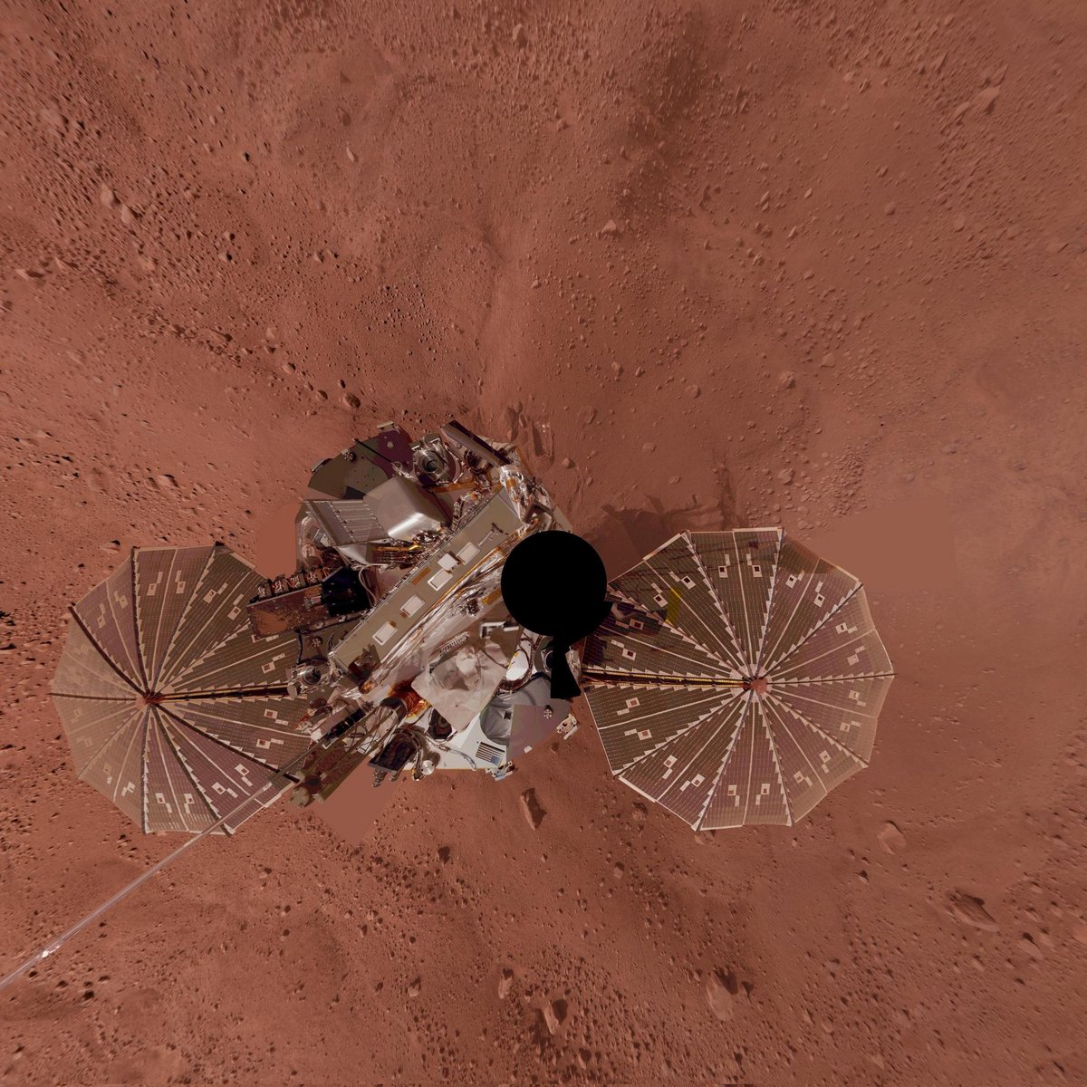 Un "selfie" de Phoenix capturé grâce au bras robotisé embarqué par l'atterrisseur. Crédits NASA/University of Arizona