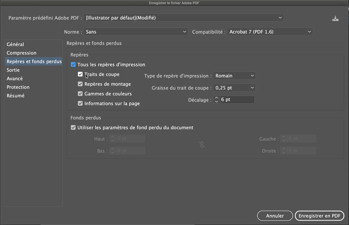 Options d'enregistrement du Pdf