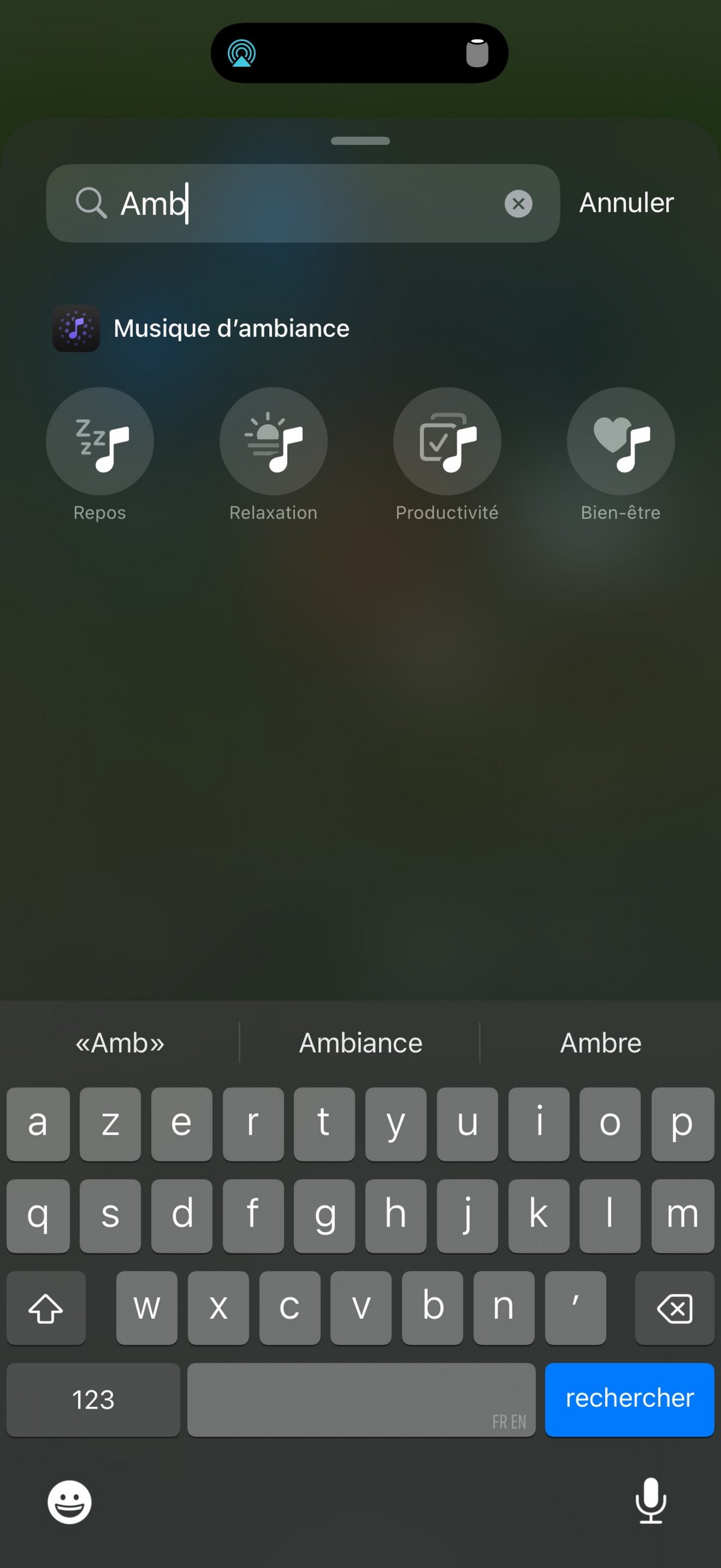 iOS 18.4 Musique ambiante Controles