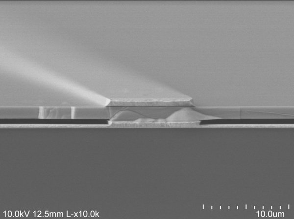 On voit ici la couche d'air en gris foncé située entre la couche d'or en bas et le semi-conducteur en haut © Dejiu Fan, Optoelectronic Components and Materials Group, University of Michigan