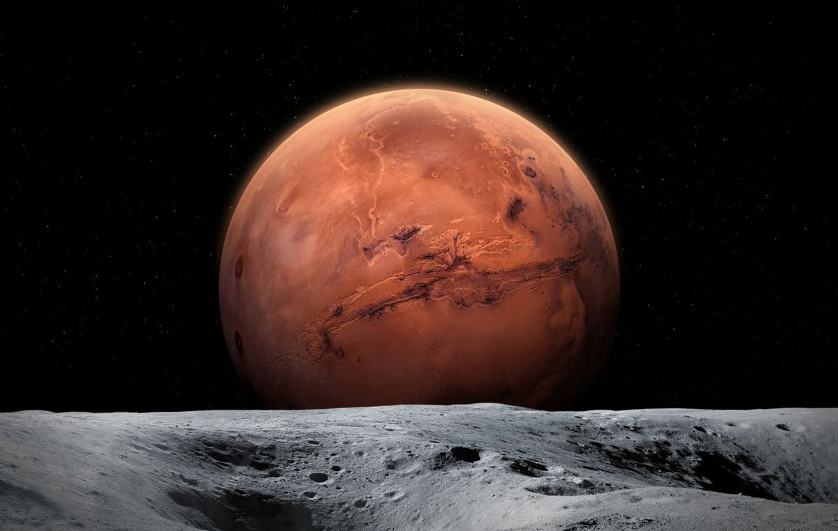 Sur Mars, à 0,33 g, les fibres musculaires changent de composition. À 0,67 g, aucune détérioration, aucune perte de force, aucune modification des fibres. En dessous de ce seuil, tout se dégrade - ©buradaki / Shutterstock